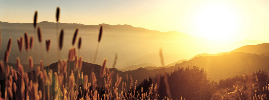 New Horizons